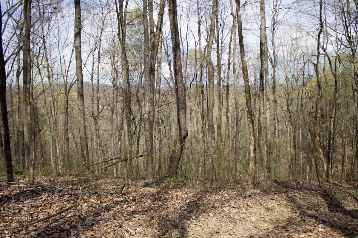 Tract 27 at Chestnut Oak Ridge in Rockcastle County, Kentucky