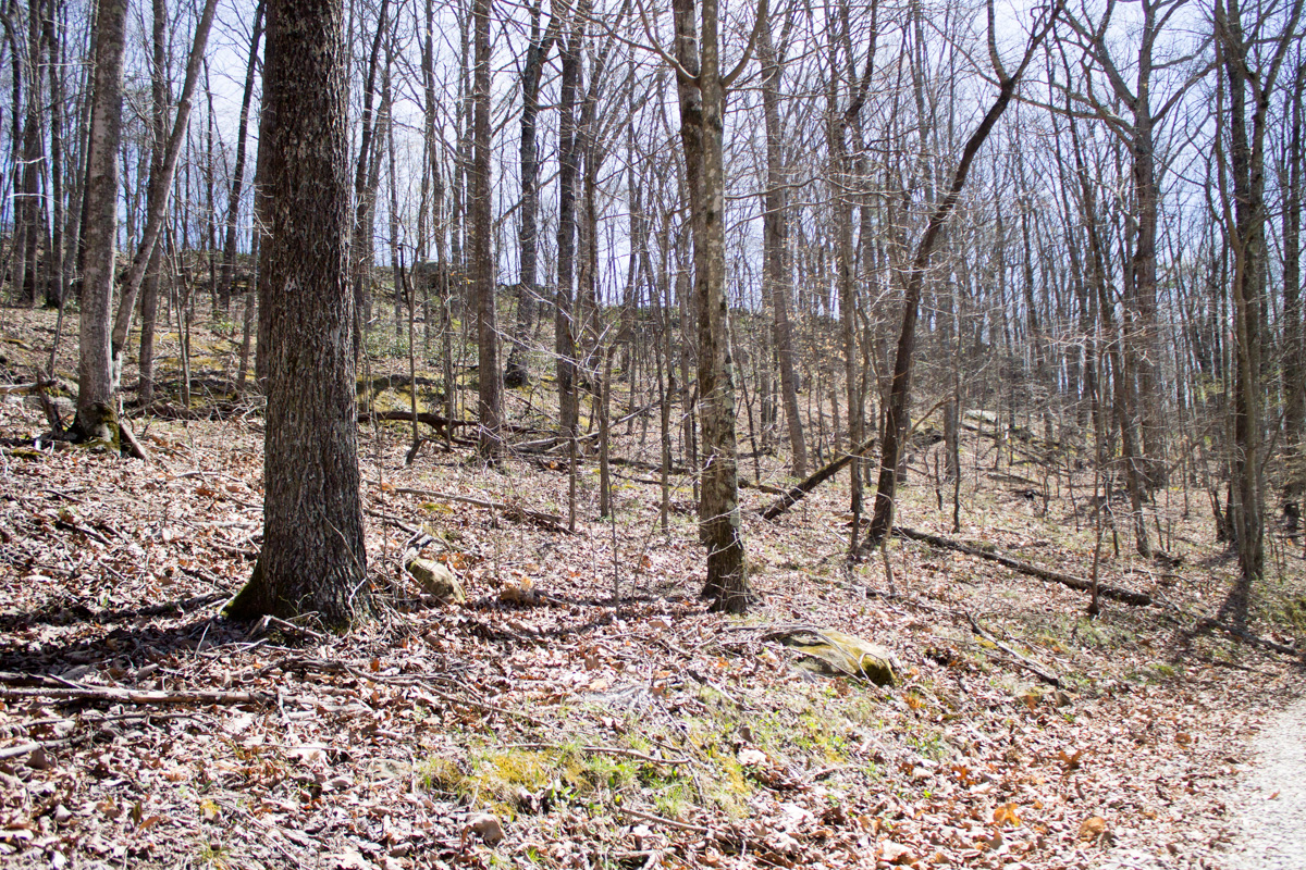 Tract 28 at Chestnut Oak Ridge in Rockcastle County, Kentucky