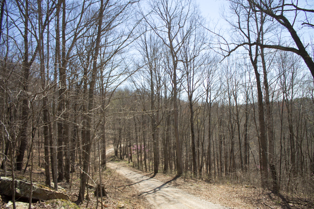 Tract 29 at Chestnut Oak Ridge in Rockcastle County, Kentucky