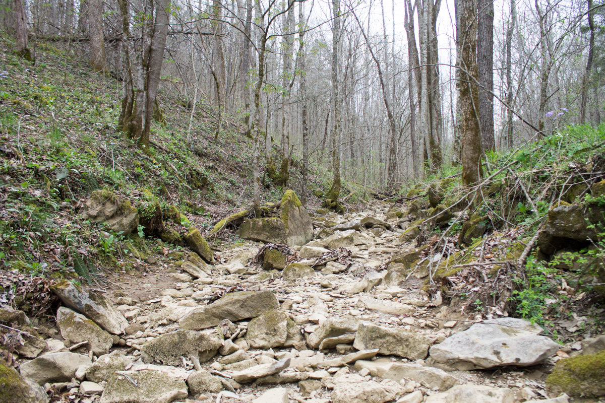 Tract 8 at Chestnut Oak Ridge in Rockcastle County, Kentucky