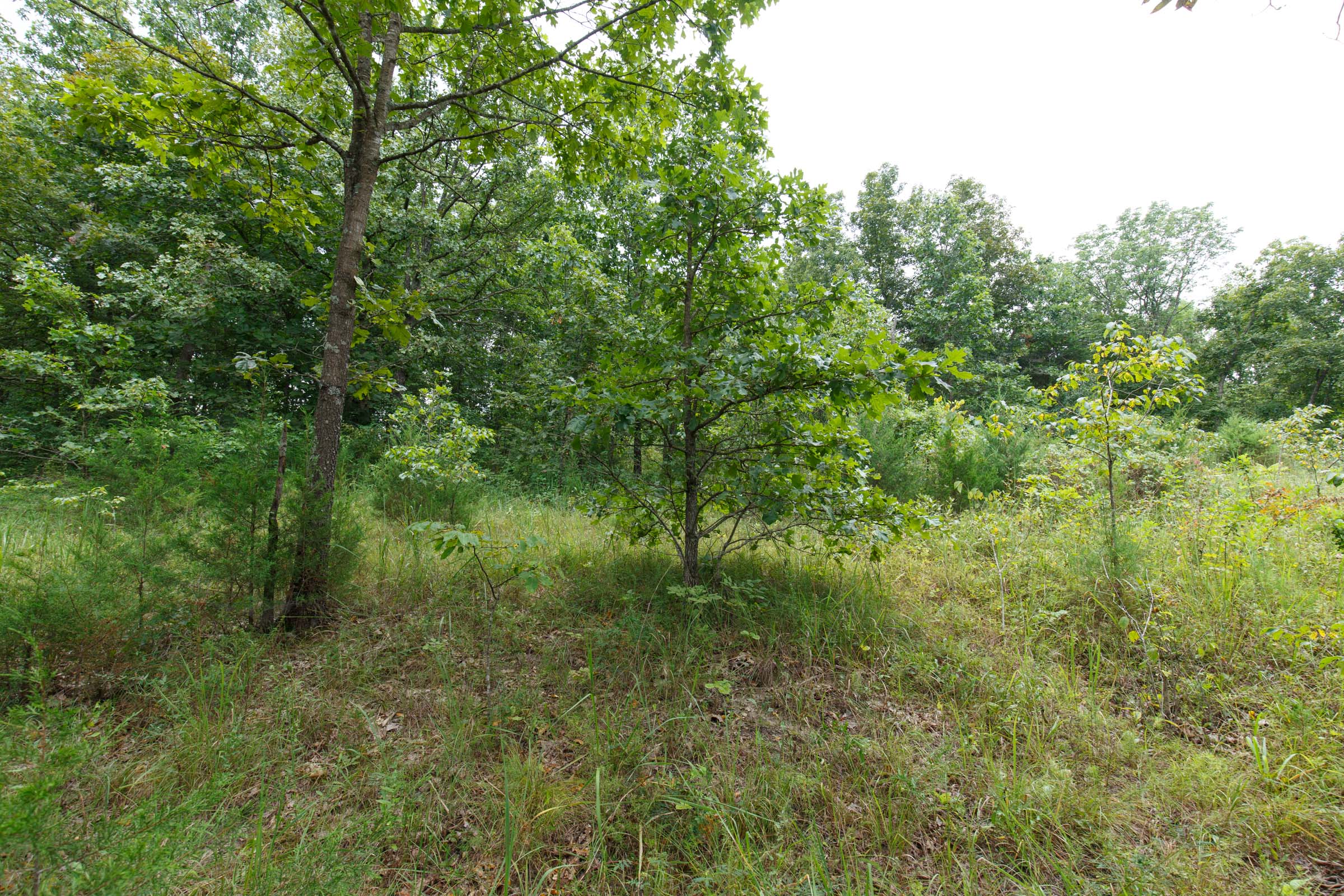 Tract 178 at Springlake in Miller County, Missouri
