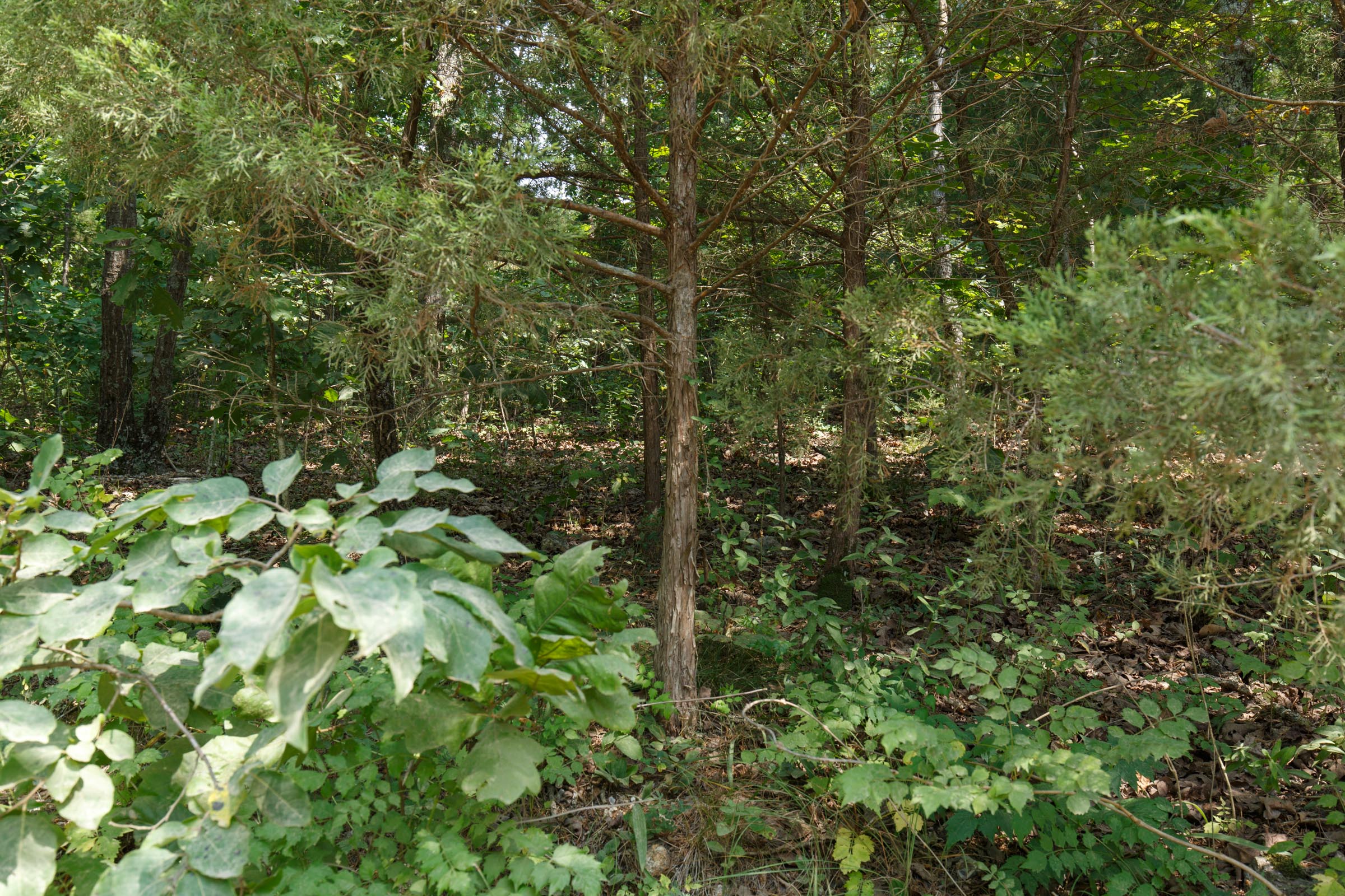 Tract 130 at Springlake in Miller County, Missouri
